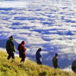 mt pulag